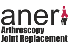 aneri